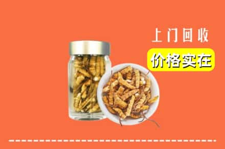 铜仁市石阡回收散虫草
