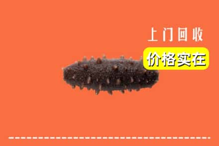 铜仁市石阡回收海参
