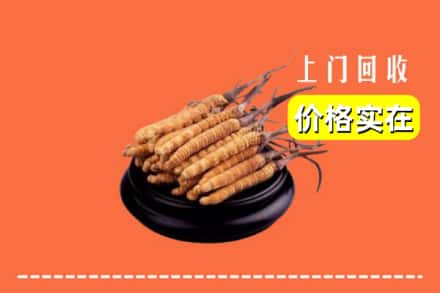 铜仁市石阡回收冬虫夏草